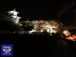 夜桜の金沢城